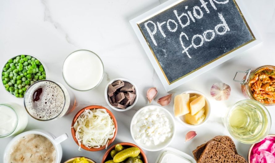 Best Probiotic Food For Weight Loss