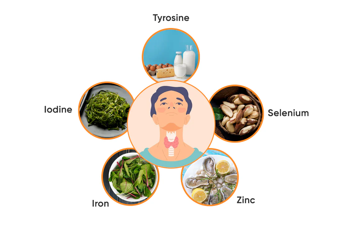 Key Nutrients for Thyroid Health in Mumbai at D fab U