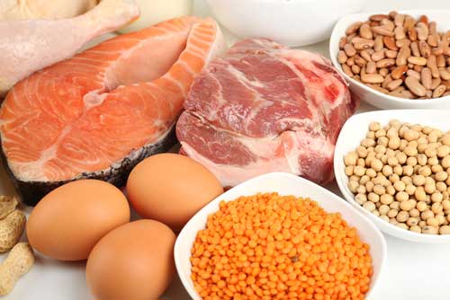 Eat Protein with Every Meal