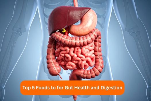 Top 5 Foods to Eat for Better Gut Health and Digestion